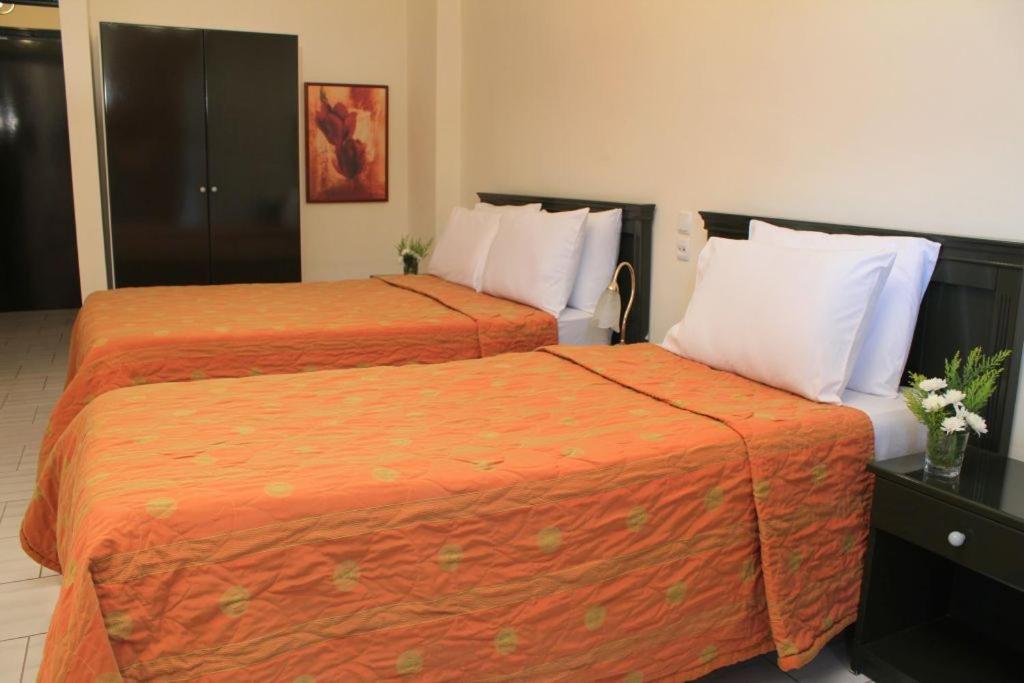 Famissi Eden Hotel Kalambaka Zimmer foto